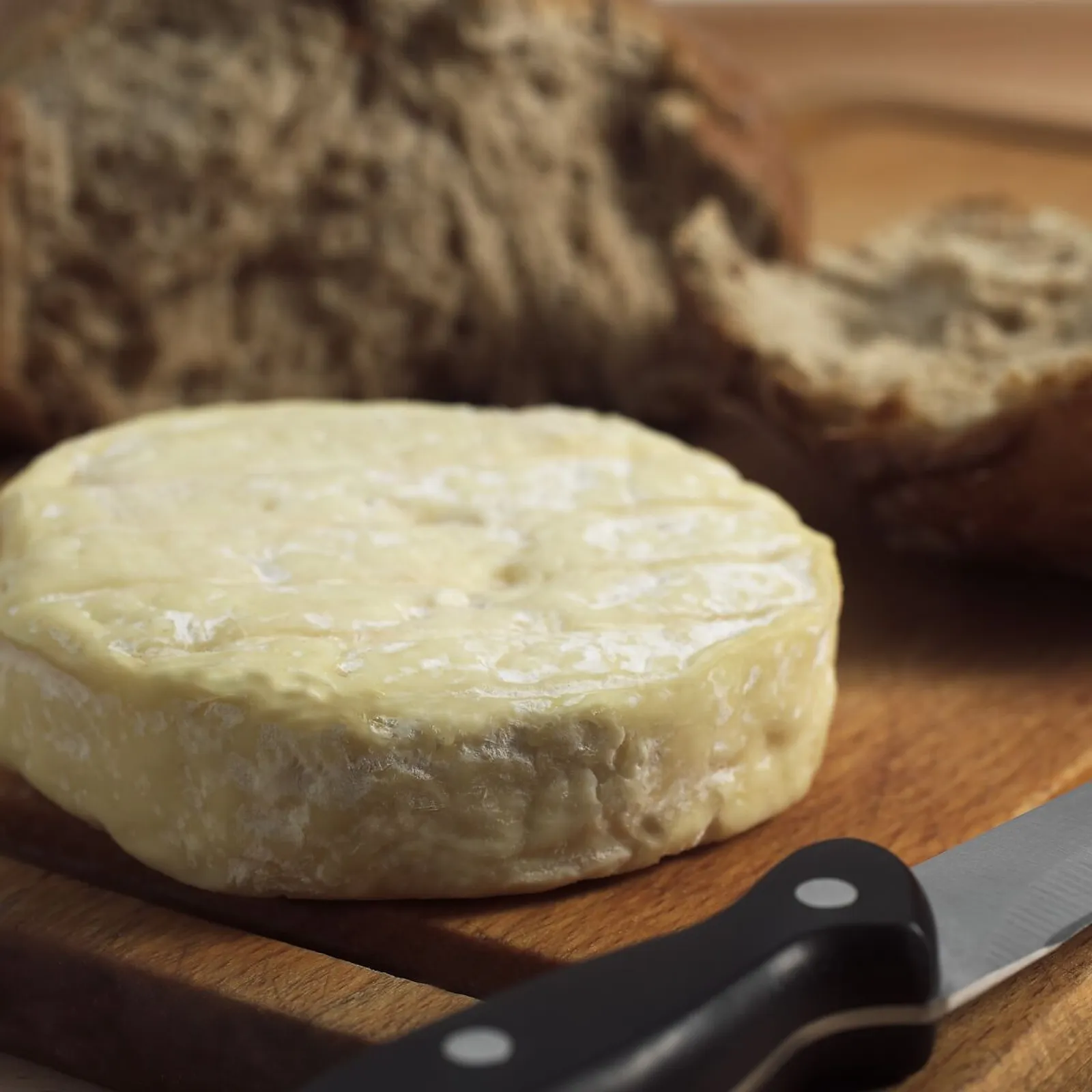 tout-savoir-sur-le-saint-felicien-fromage-cremeux-au-lait-de-vache.jpeg